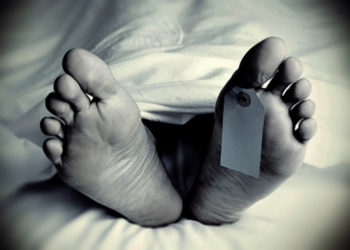 तमिलनाडु में टैंकर, वैन की टक्कर, 4 महिलाओं की मौत – bhaskarhindi.com