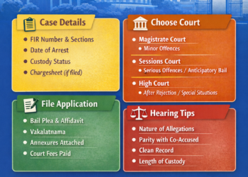 Checklist for Drafting Bail Application in Delhi Courts